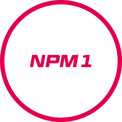 npm1