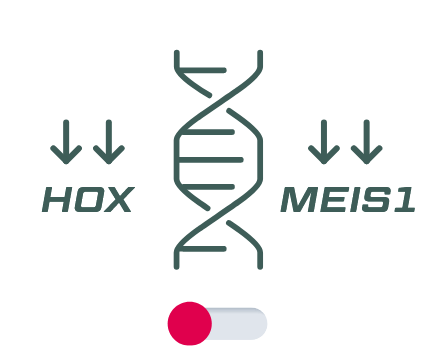 Downregulates HOX/MEIS1 gene expression